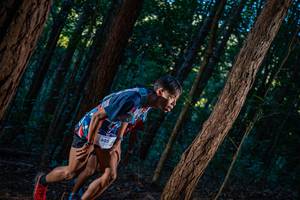 BIB: 805
                            <button type="button" onclick="openModal(19211350)" class="btn btn-primary btn-sm float-right btn-popup" data-toggle="modal" data-target=".modal-high-quality">
                        <i class="fas fa-shopping-cart"></i> Add to Cart
                    </button>
                                            <button type="button" onclick="isThisMe(19211350, true)" class="btn btn-success btn-sm float-right btn-popup btn-isme hidden" data-toggle="tooltip" data-placement="bottom" title="นี่คือรูปของคุณใช่ไหม คลิกที่นี่เพื่อเอาเข้าอัลบั้ม">
                        <i class="fas fa-plus"></i> Add to album
                    </button>
                    <button type="button" onclick="isThisMe(19211350, false)" class="btn btn-warning btn-sm float-right btn-popup btn-isnotme hidden">
                        <i class="fas fa-ban"></i> Remove from album
                    </button>